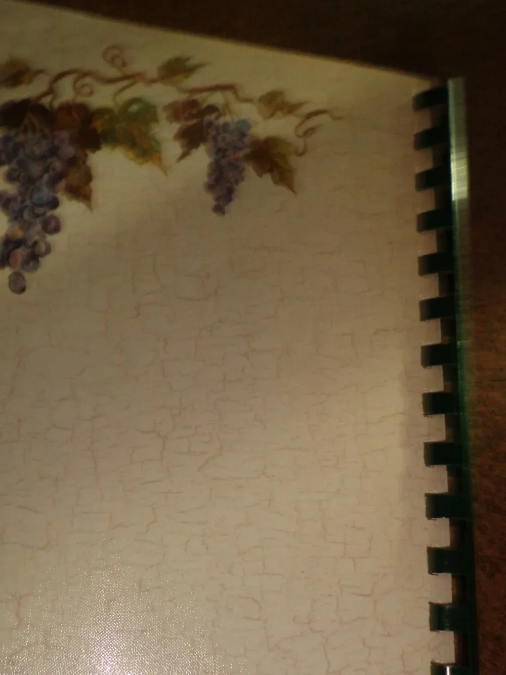 NEW Spiralbound Cookbook THE FRUIT of the SPIRIT Luther Memorial Church 82 Pgs.
